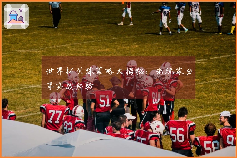 世界杯买球策略大揭秘，老玩家分享实战经验