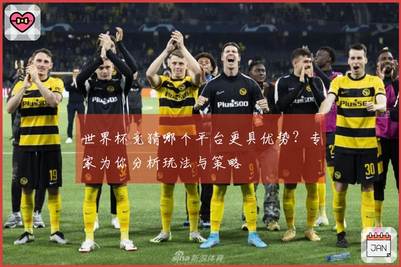 世界杯竞猜哪个平台更具优势？专家为你分析玩法与策略