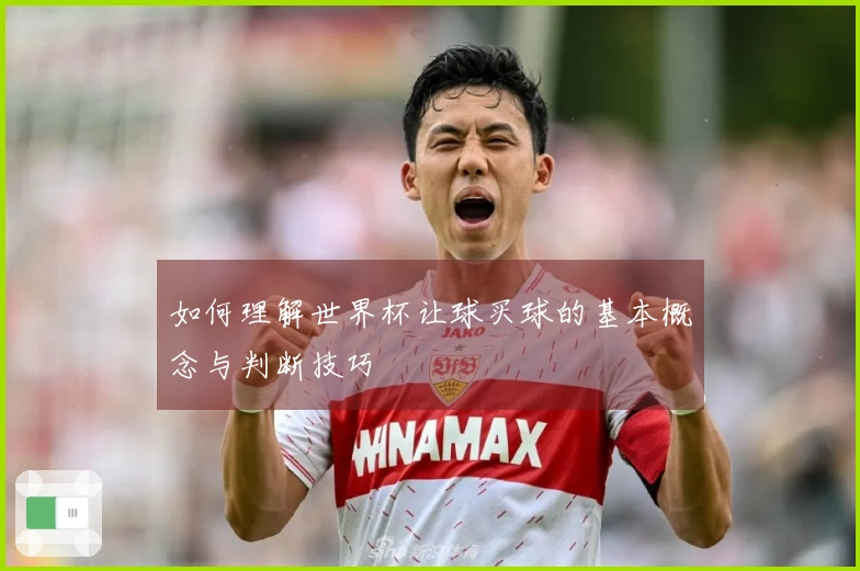 如何理解世界杯让球买球的基本概念与判断技巧