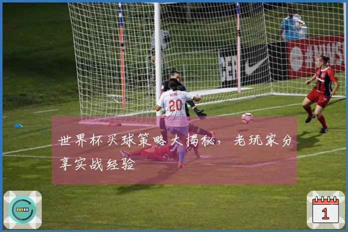 世界杯买球策略大揭秘，老玩家分享实战经验