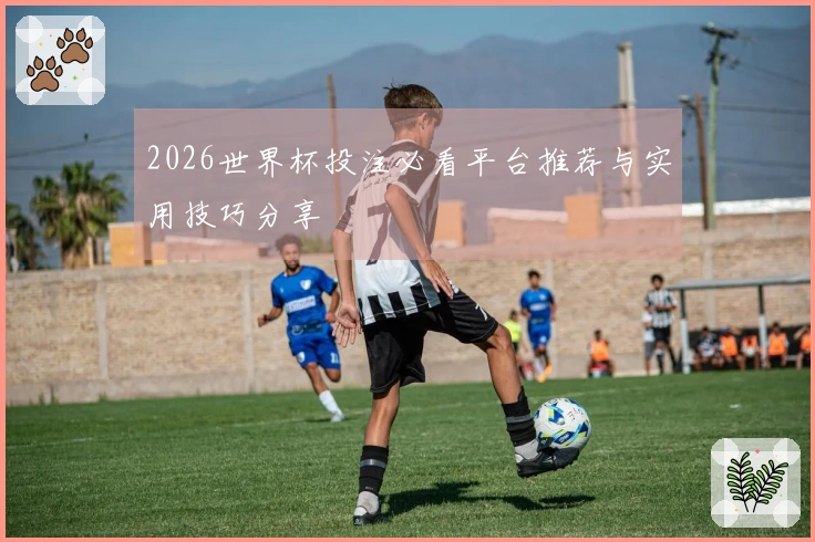 2026世界杯投注必看平台推荐与实用技巧分享