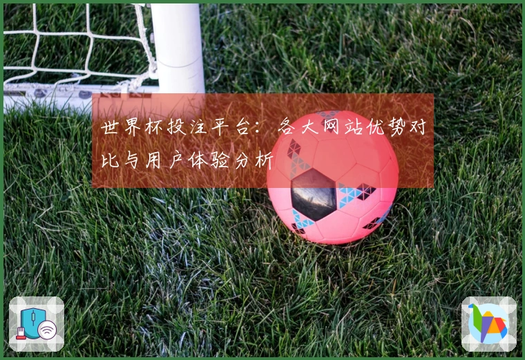 世界杯投注平台：各大网站优势对比与用户体验分析