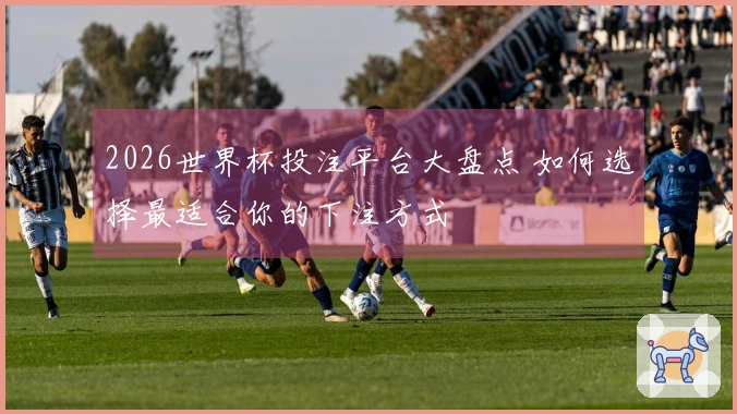 2026世界杯投注平台大盘点 如何选择最适合你的下注方式
