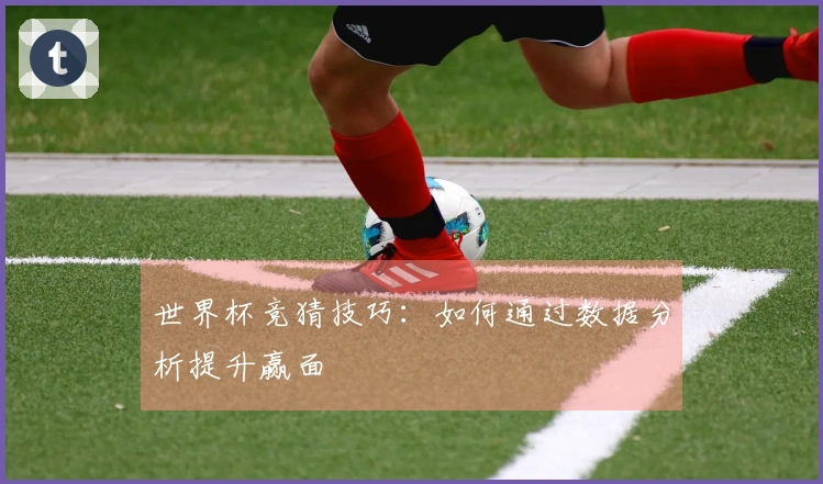 世界杯竞猜技巧：如何通过数据分析提升赢面
