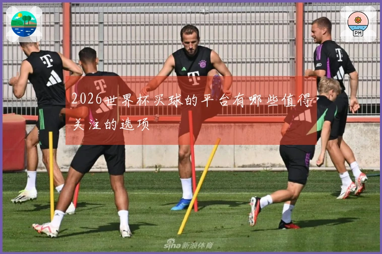 2026世界杯买球的平台有哪些值得关注的选项
