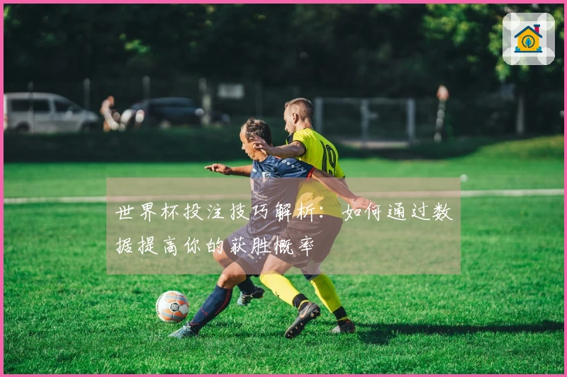 世界杯投注技巧解析：如何通过数据提高你的获胜概率