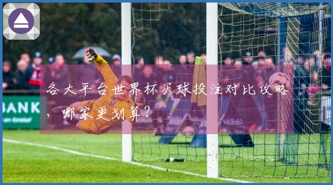 各大平台世界杯买球投注对比攻略，哪家更划算？