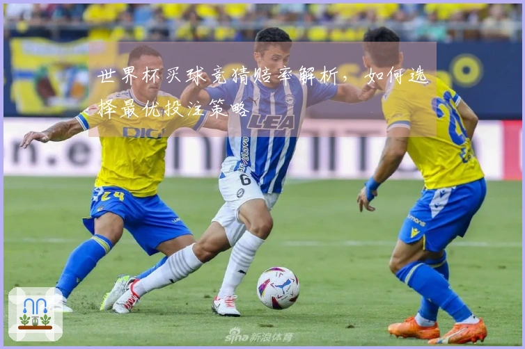 世界杯买球竞猜赔率解析，如何选择最优投注策略