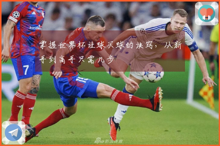 掌握世界杯让球买球的诀窍，从新手到高手只需几步