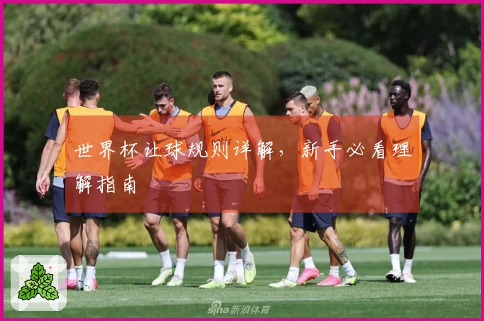 世界杯让球规则详解，新手必看理解指南