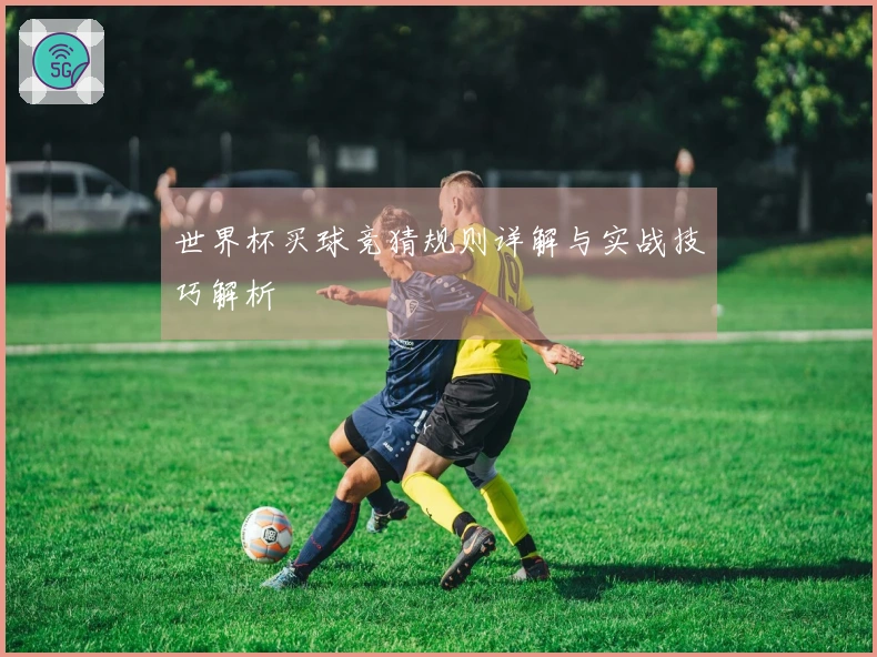 世界杯买球竞猜规则详解与实战技巧解析