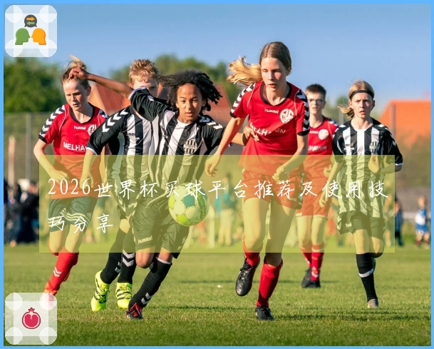 2026世界杯买球平台推荐及使用技巧分享