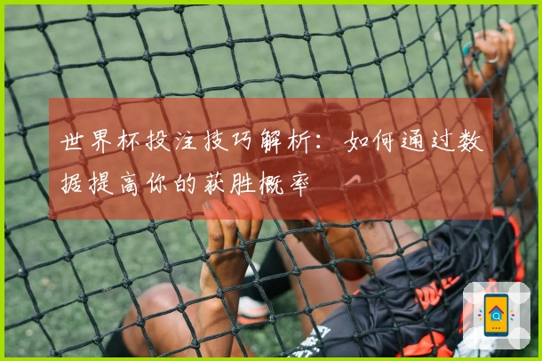 世界杯投注技巧解析：如何通过数据提高你的获胜概率