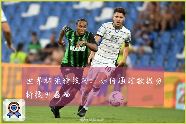 世界杯竞猜技巧：如何通过数据分析提升赢面
