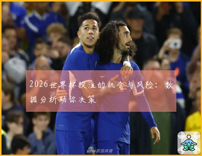 2026世界杯投注的机会与风险：数据分析助你决策